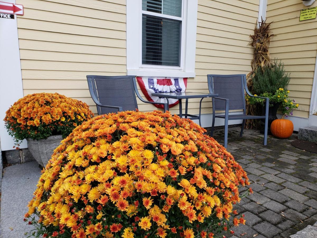 Elmere House Bed & Breakfast Wells Exterior foto